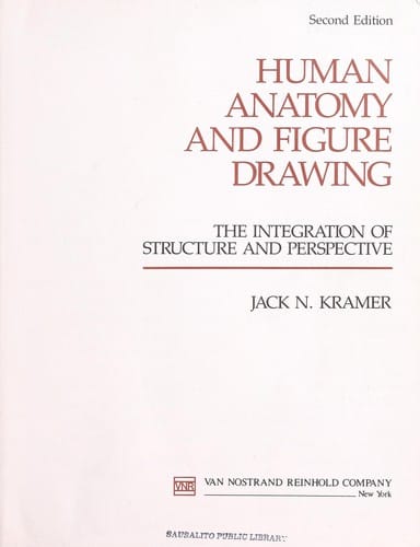 Human anatomy & figure drawing