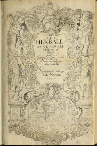 Herball