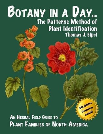 Botany in a day