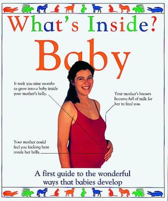 What's Inside?