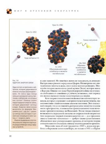 L'Univers dans une coquille de noix