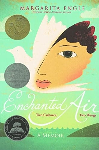 Enchanted Air