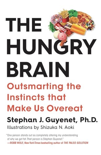 The hungry brain