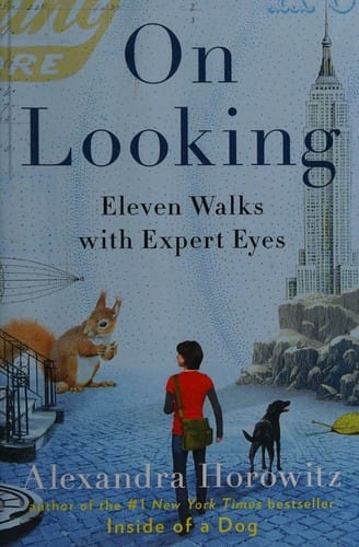 On Looking