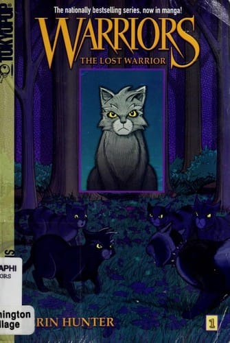 The Lost Warrior