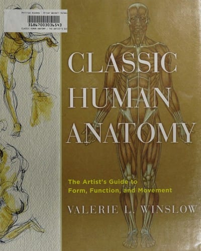 Classic human anatomy