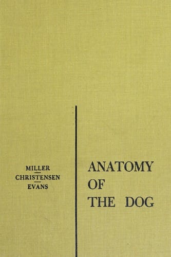 Anatomy of the dog