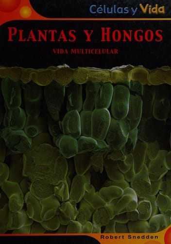 Plantas y hongos