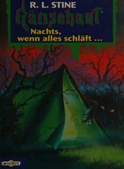 Nachts, wenn alles schläft ...