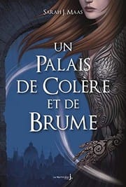 Un Palais de colère et de brume