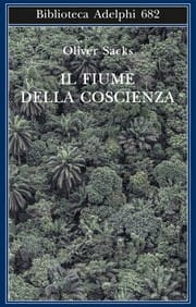 Il fiume della coscienza