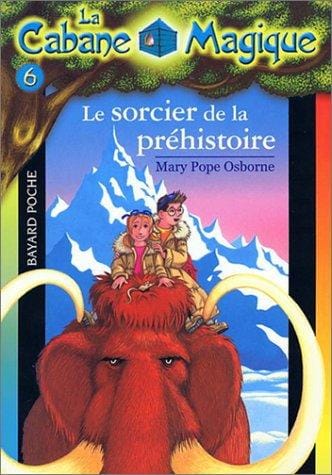 La Cabane magique, numéro 6