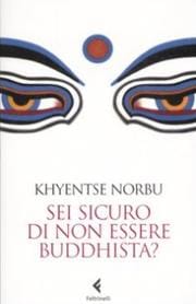 Sei sicuro di non essere buddhista?