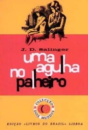 Uma agulha no palheiro
