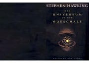 Das Universum in der Nussschale