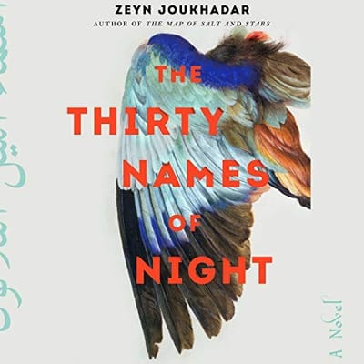 The Thirty Names of Night