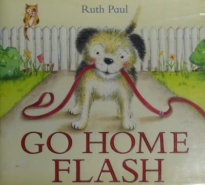 Go home Flash