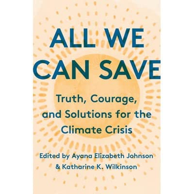 All We Can Save
