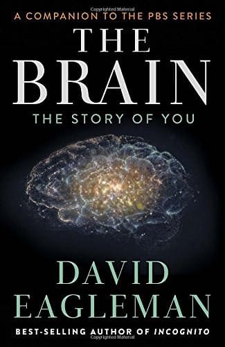 Brain