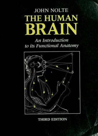 The human brain