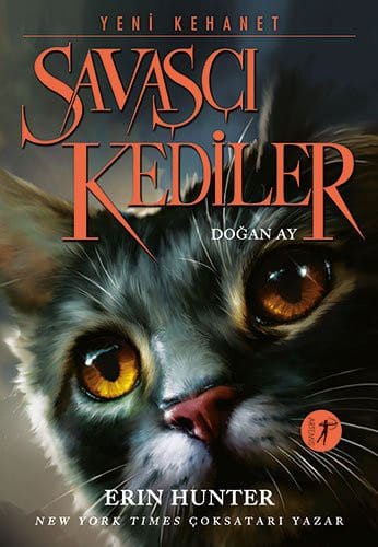 Savasci Kediler-Dogan Ay