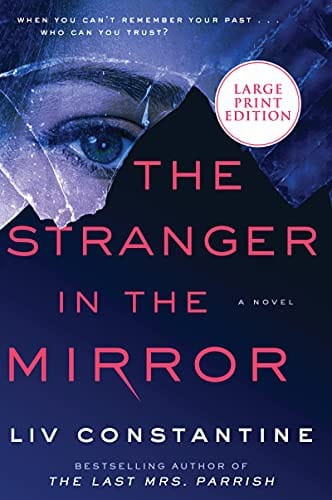 The Stranger in the Mirror