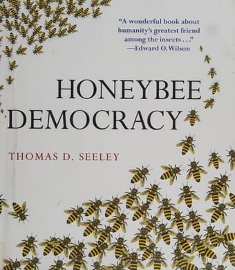 Honeybee democracy