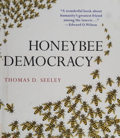 Honeybee democracy