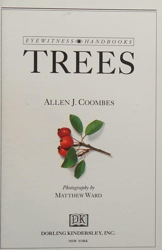 Alberi
