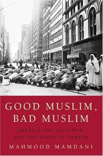 Good Muslim, bad Muslim