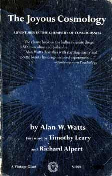 The joyous cosmology