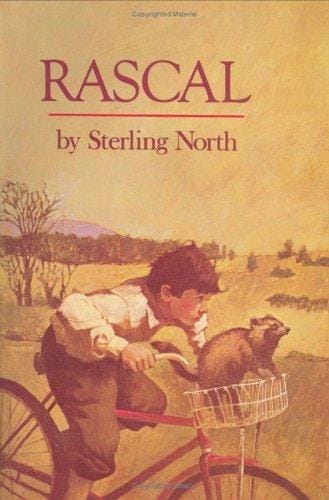 Rascal, mi tremendo mapache