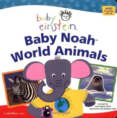 Baby Einstein