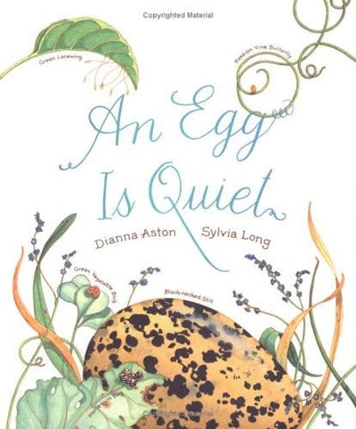 An egg is quiet