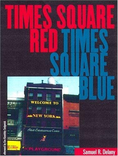 Times Square Red, Times Square Blue (Sexual Cultures)