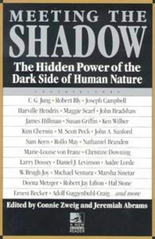 Meeting the shadow