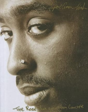 The Rose That Grew From Concrete