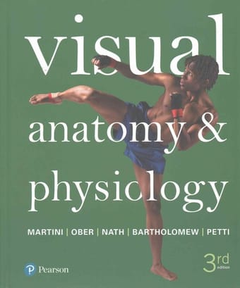Visual anatomy & physiology
