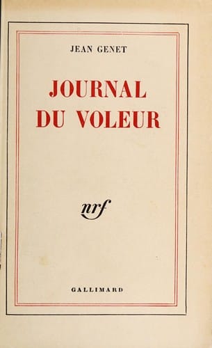 Journal du voleur